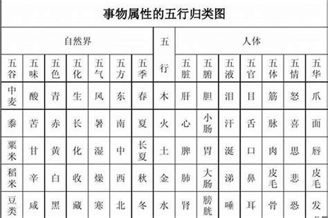 倫 五行|伦字的五行属性